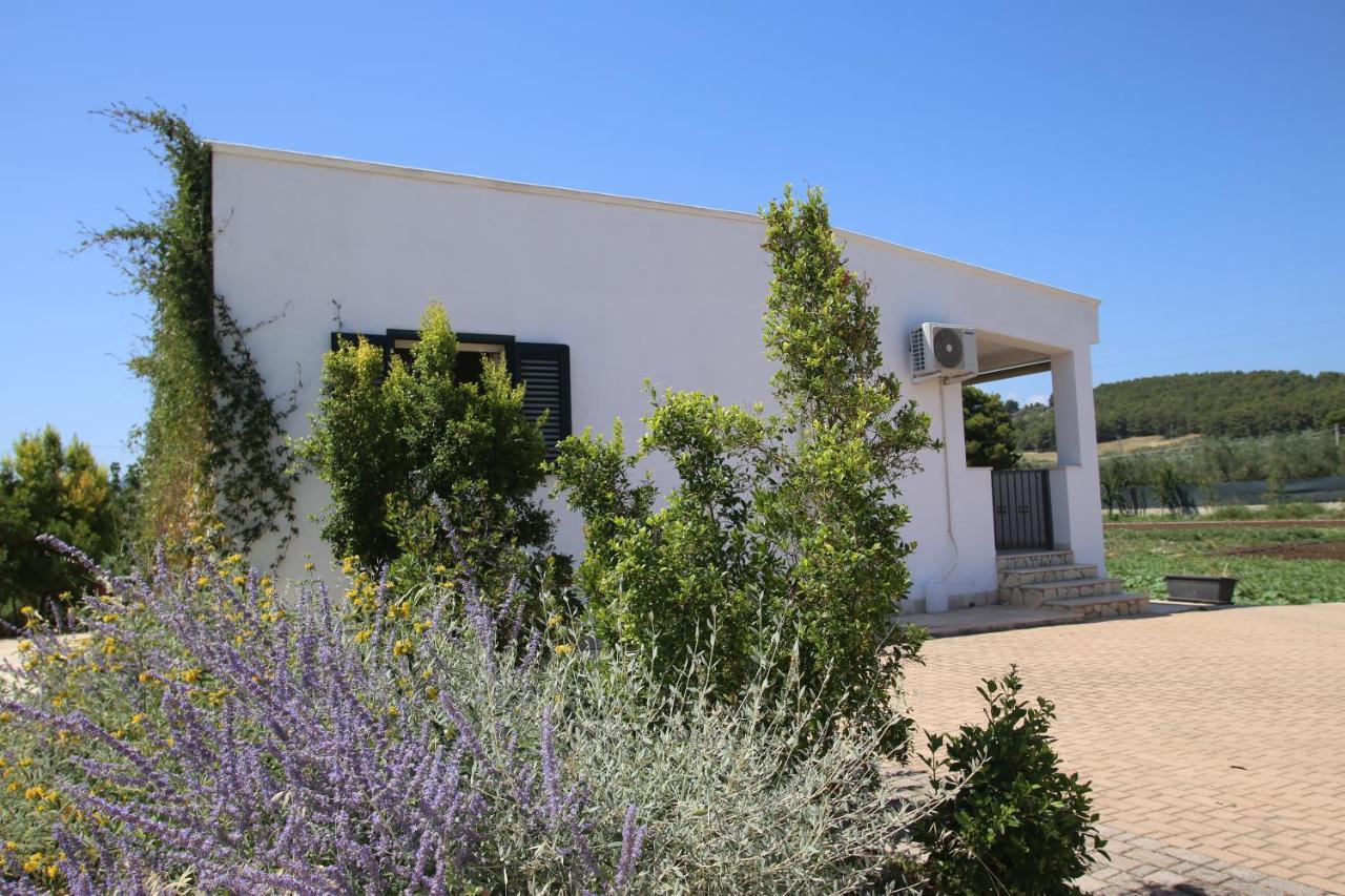 Annaluce Apartments Vieste Esterno foto