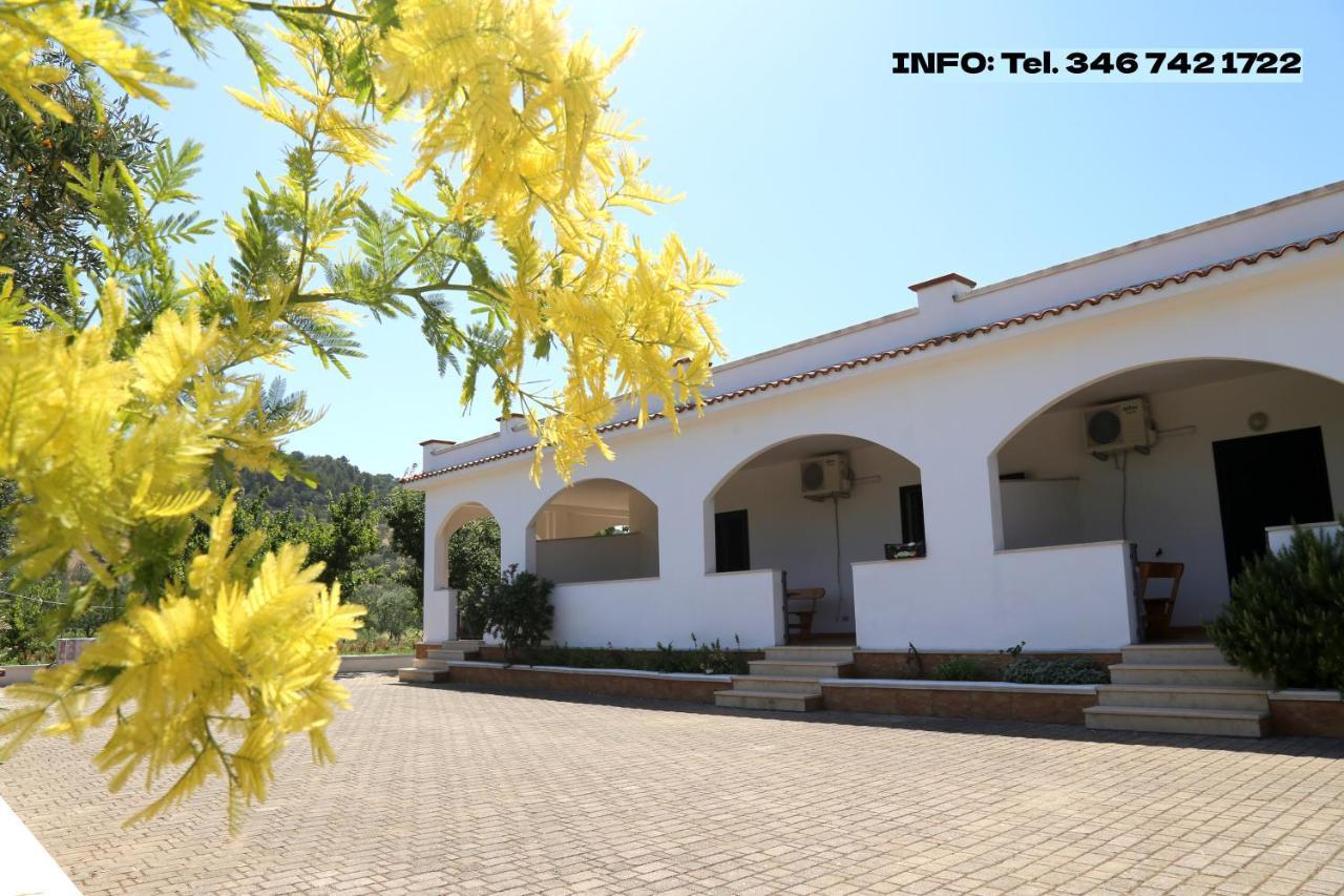 Annaluce Apartments Vieste Esterno foto